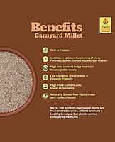 Barnyard Millet | Unpolished and Roasted