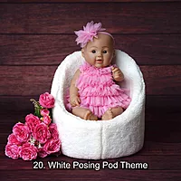Studio Package (33 Themes)