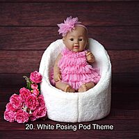 Studio Package (33 Themes)