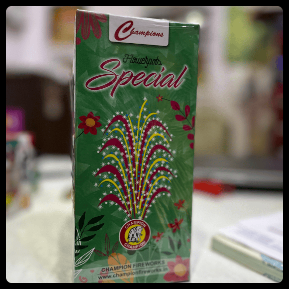 Flower Pots Special (10 Pcs)