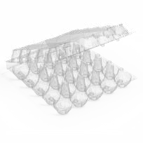 Egg Trays :25 Egg Tray