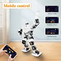16DOF Intelligent Humanoid Robot
