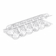 Egg Trays : 12 Quail Egg Tray