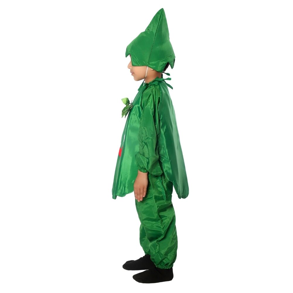 Capsicum Fancy Dress Costume Capsicum Fancy Dress Costume