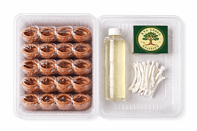 Vinayagar Diya Set – 21 Terracotta Diyas with Coconut Oil, Cotton Wicks & Match Box