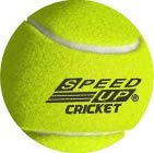 Cricket Set - Size 4