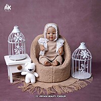 Studio Package (50 Themes)