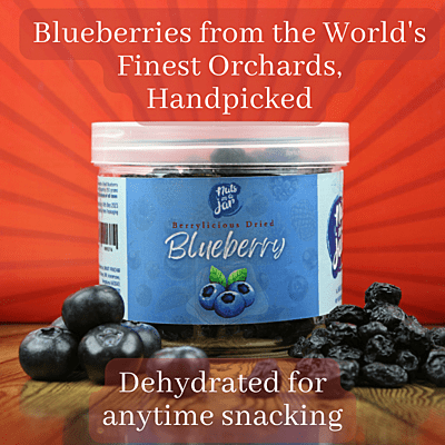 Berrylicious Dried Blueberry Whole 250 Grams Berrylicious Dried Blueberry Whole 250 Grams
