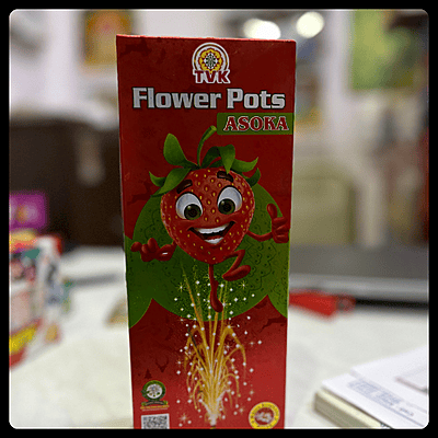 Flower Pots Asoka (10 Pcs)