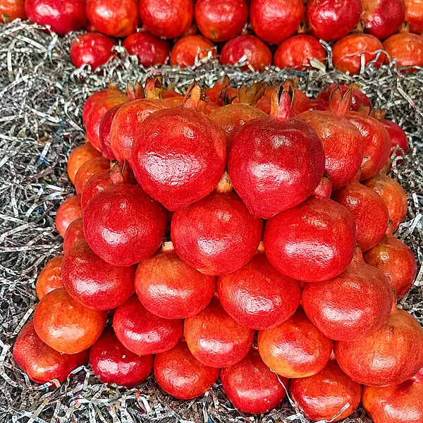 Anar | 22 Dana | Premium Quality