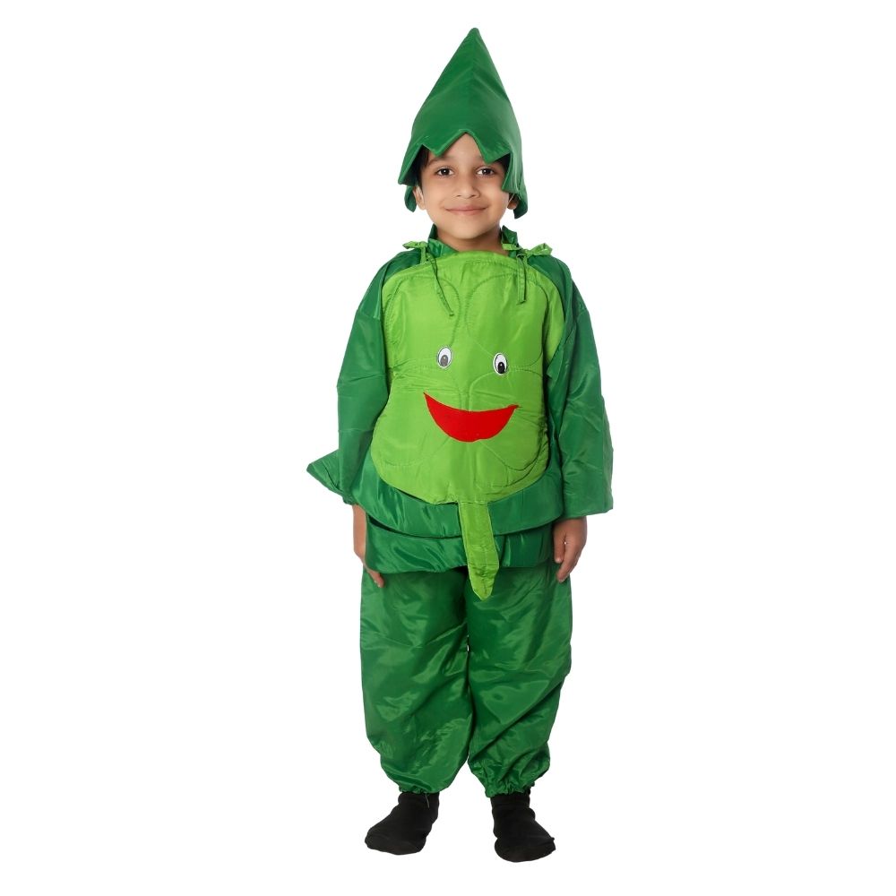 Cabbage Fancy Dress Costume