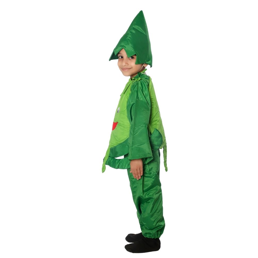 Cabbage Fancy Dress Costume