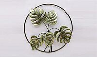 DAD Nature-Inspired Metal Wall Art, Circular Design for Living Room, Bedroom Size (29x2x29 Inches)