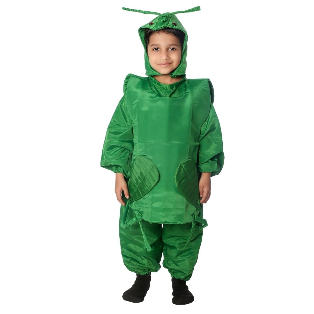 Grasshopper Fancy Dress Costume