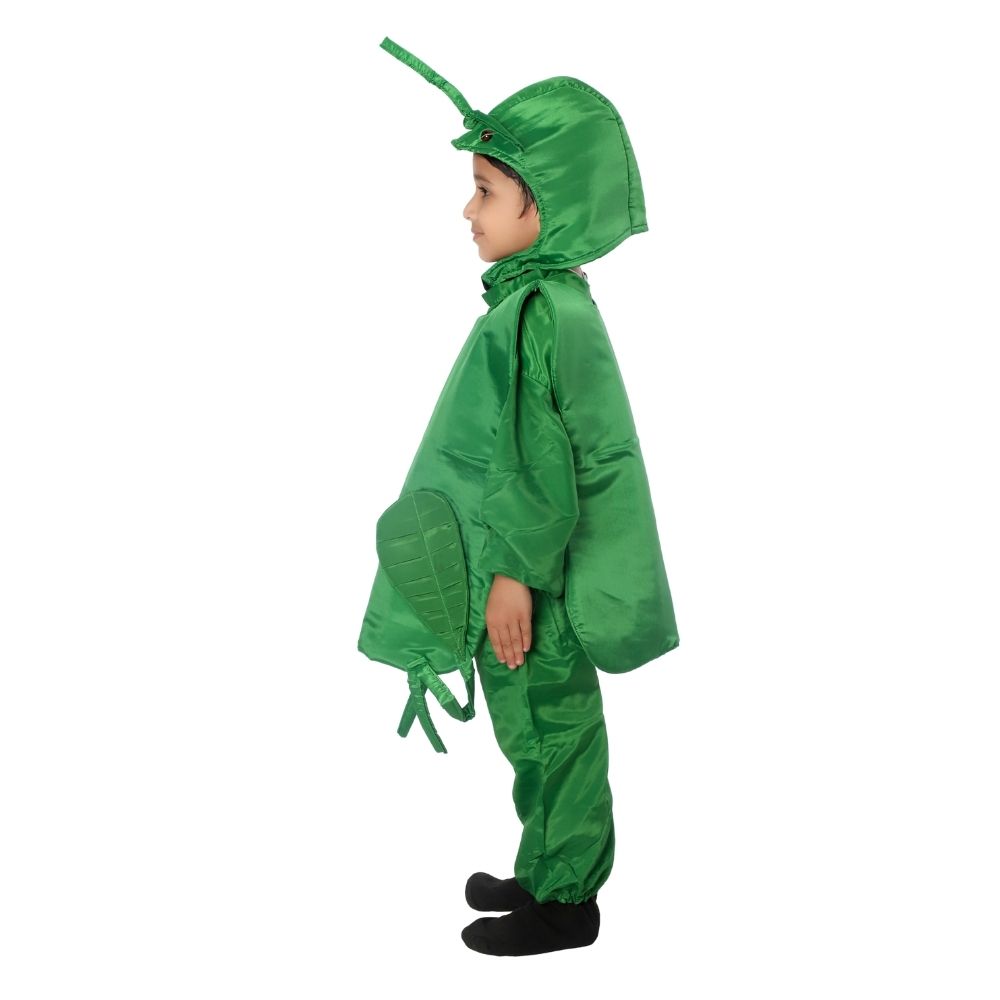 Grasshopper Fancy Dress Costume