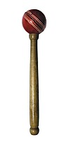 CRICKET ACCESSORIES SS CRICKET ACCESSORIES SS