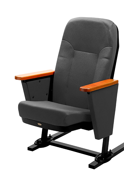 AUDITORIUM  Seating   WIPRO concert