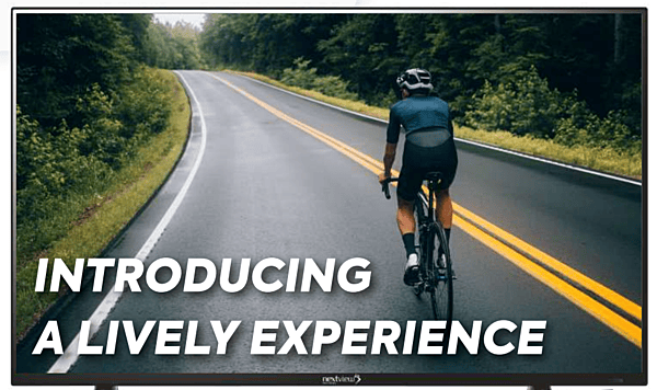 Nextview 24 Inch LED TV NV2FH24L