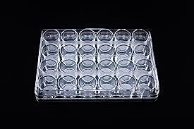 Insect Bioassay Trays 6, 12, 24 and 48 wells