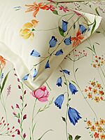 Bloomie Sweet Cream Primary Double Bed Sheet Set