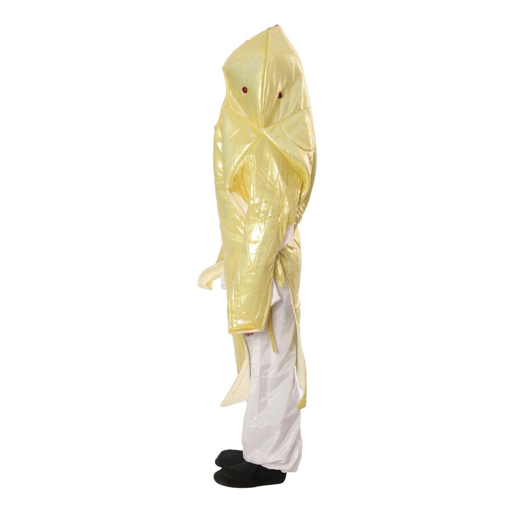 Golden Fish Fancy Dress Costume Golden Fish Fancy Dress Costume
