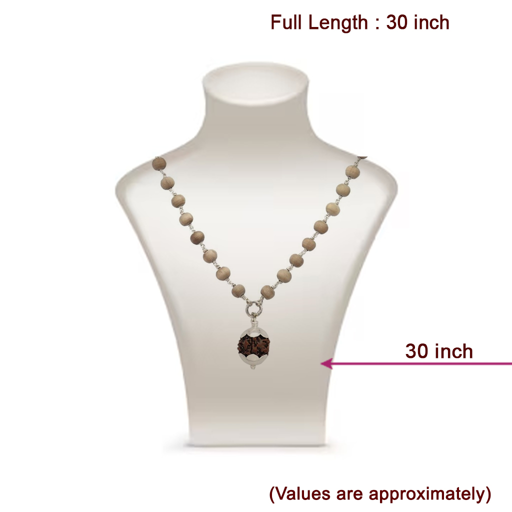 Silver Tied Tulsi Mala with Rudraksham Pendant