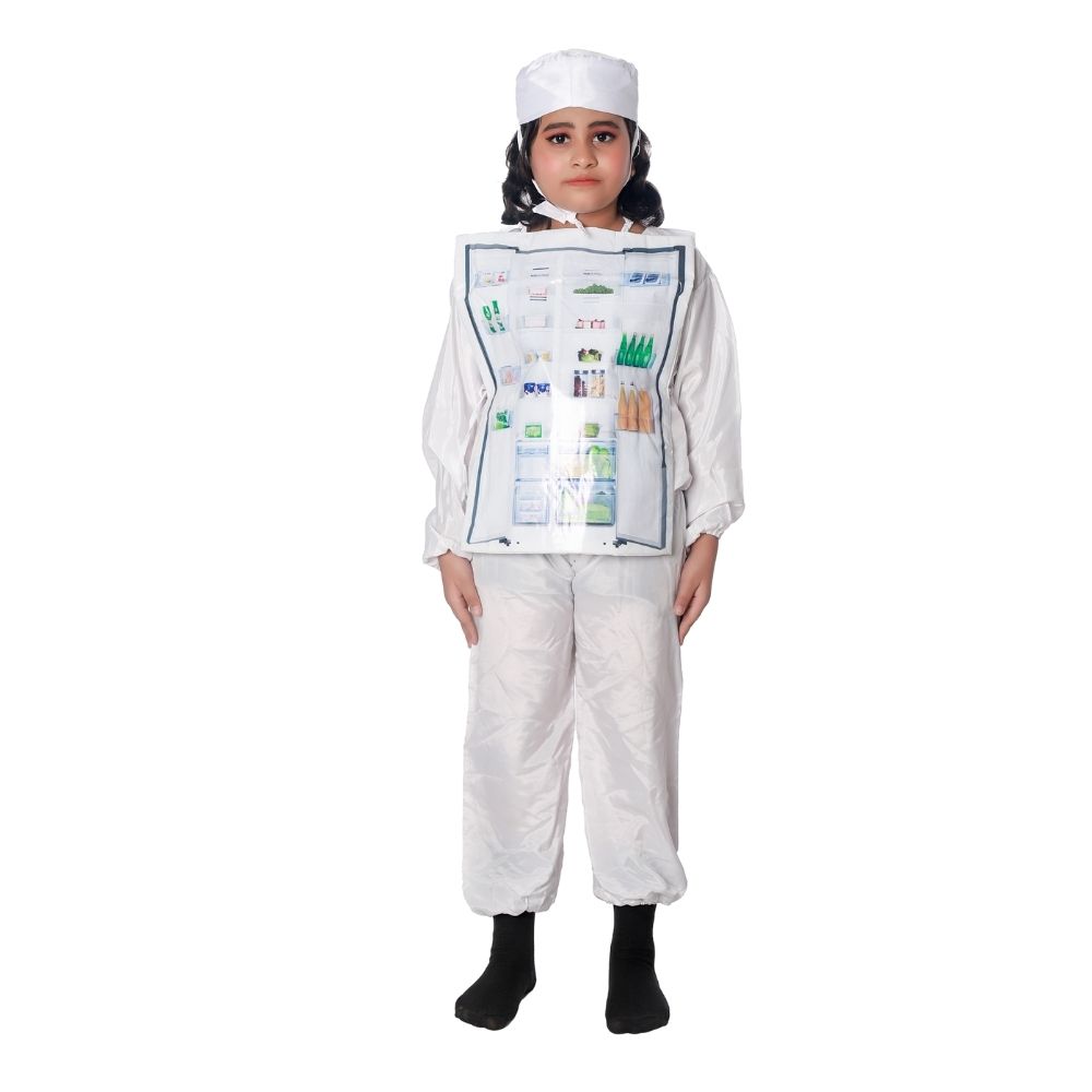 Refrigerator Fancy Dress Costume