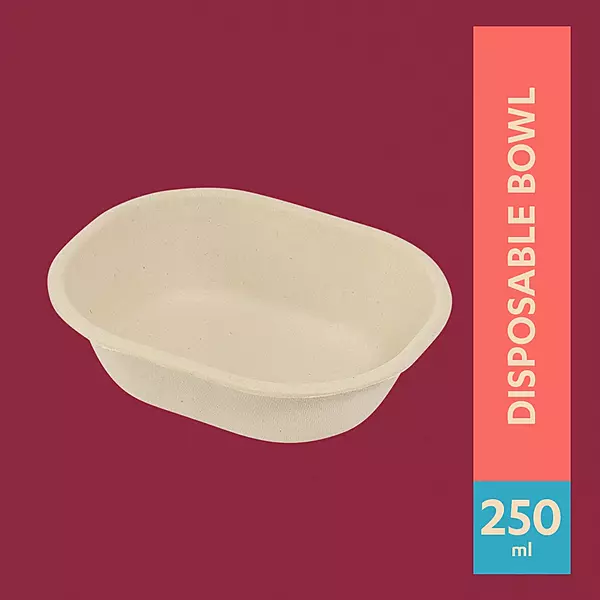 CHUK 250ml Disposable Bowl