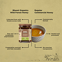 Organic Wild Forest Honey 250 g