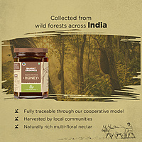 Organic Wild Forest Honey 250 g
