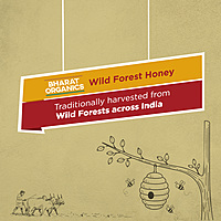 Organic Wild Forest Honey 250 g