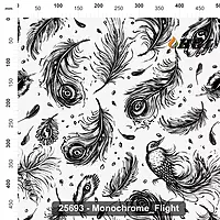 25693 Monochrome Flight