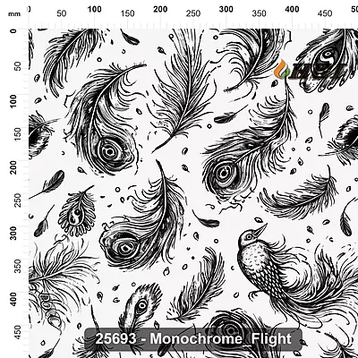 25693 Monochrome Flight