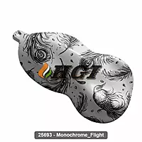 25693 Monochrome Flight