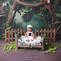 Studio Package (50 Themes)