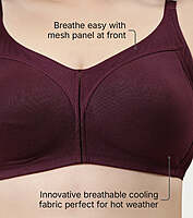 Enamor Full Support Super Lift Women's Cotton Everyday Minimizer Bra A112