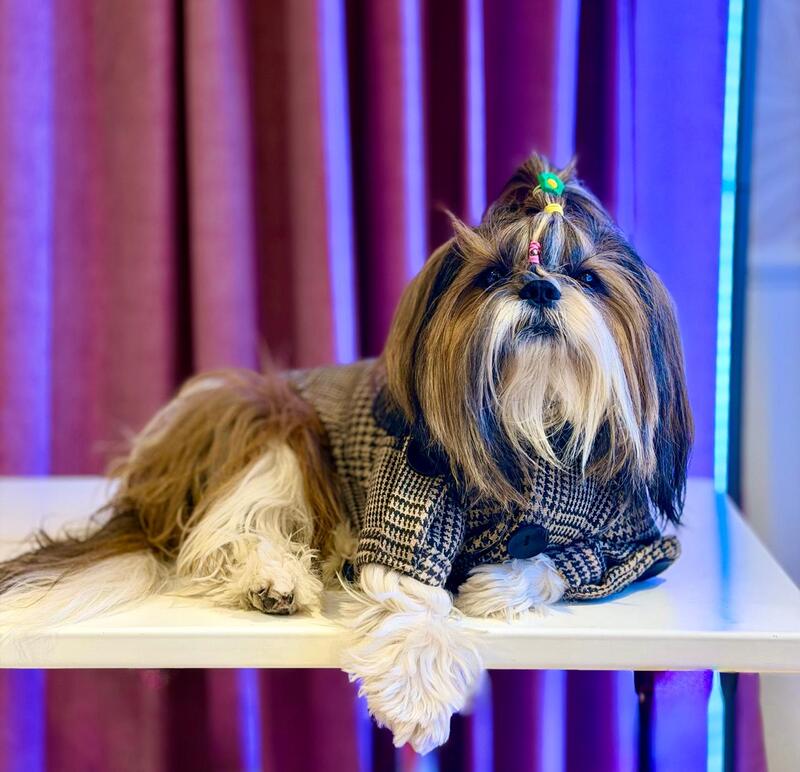 Brown Checkered Winter Coat