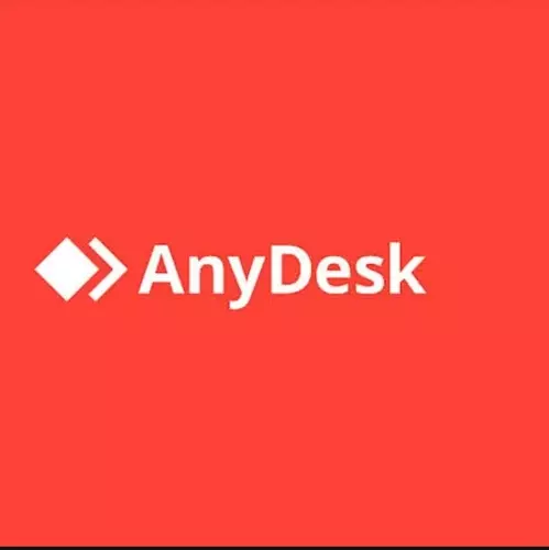 Anydesk Standard (1 year subscription) - First user ESD