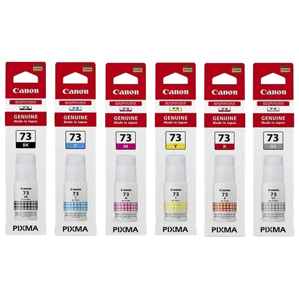 Canon Pixma GI 73 Pack Of 6 Ink Bottle (4701C004AA, Multicolor)