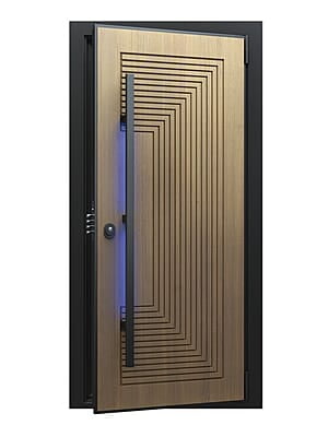 Modern 2.5D HDHMR Door with Stylish Deco Paint