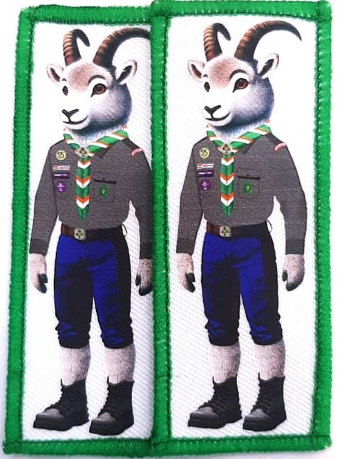 Diamond Jubilee Mascot Printed