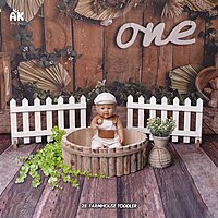 Studio Package (50 Themes)