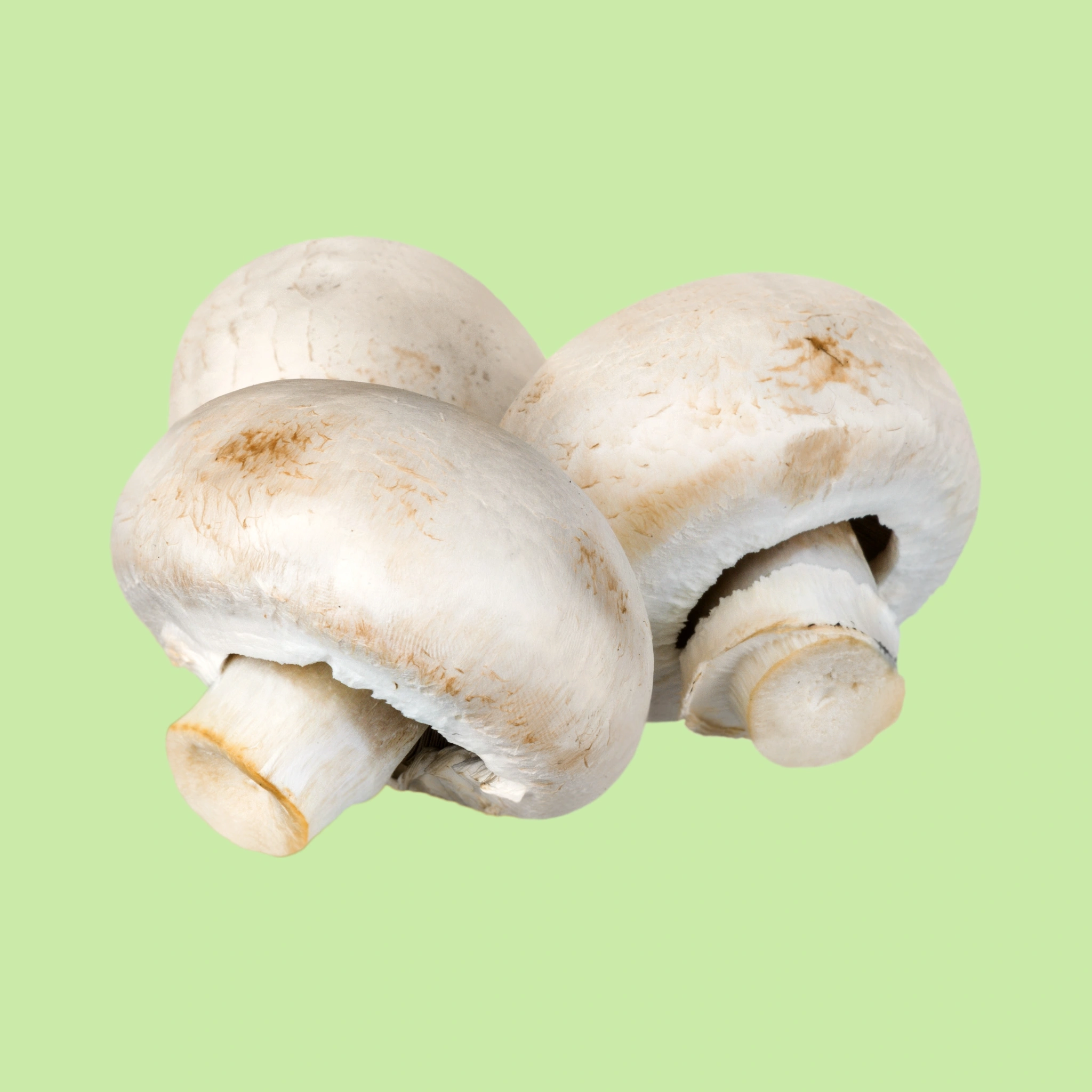Mushrooms Button - 100g