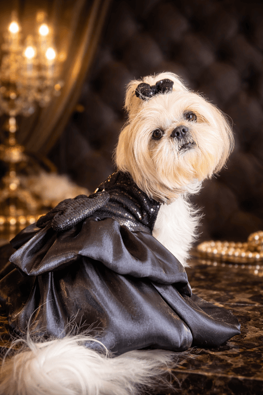 Black Sequin Party Dress