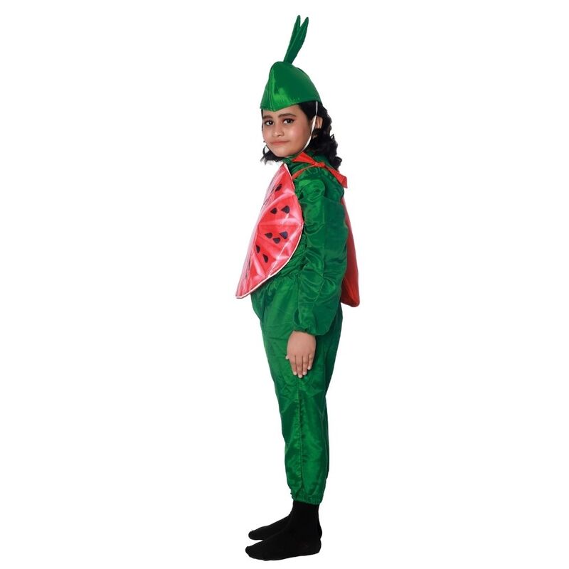 Water Melon Fancy Dress Costume Water Melon Fancy Dress Costume