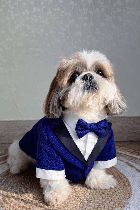 Royal Blue Shimmer Tuxedo