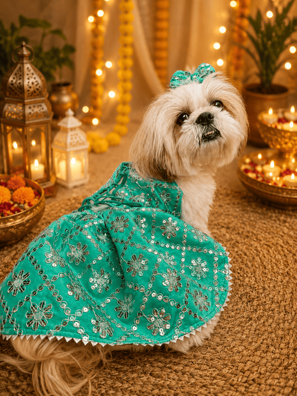 Rajwadi Emerald Lehenga Choli