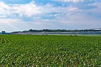 Irrigation Equipment Leasing