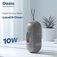 Ozzie LBS-102 10W Bluetooth Speaker – RGB Light | TWS Stereo | 8H Playtime | Grey