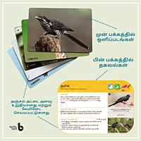 Early Bird Flashcards (Tamil)